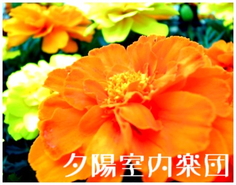 せきようしつないがくだん